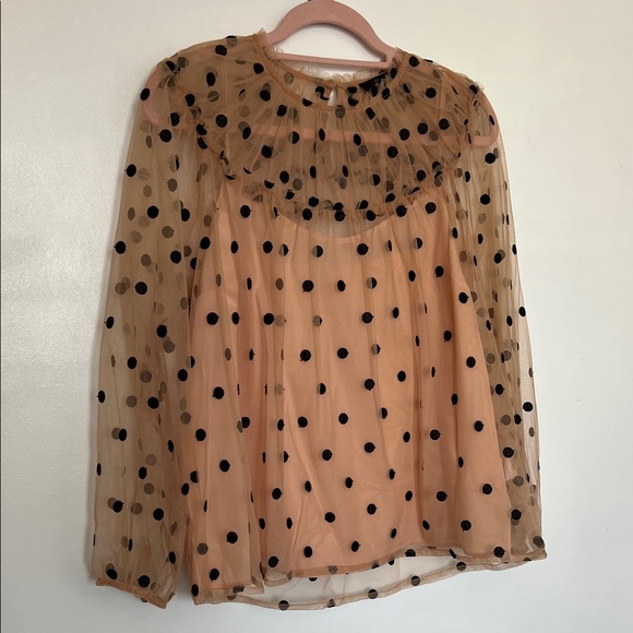 J. Crew Sheer Blouse with Black Polka Dots - Tan - Picture 2 of 6